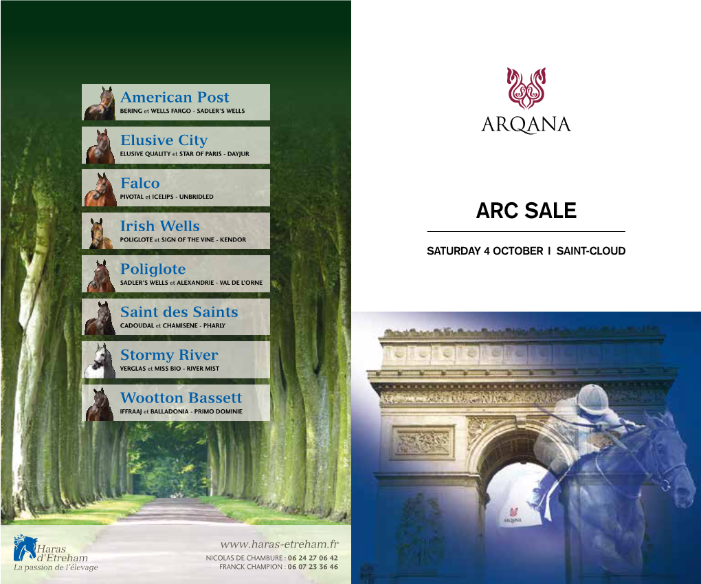 Arc Sale Irishpivotal Et ICELIPS Wells - UNBRIDLED