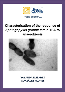 Characterisation of the Response of Sphingopyxis Granuli Strain TFA to Anaerobiosis