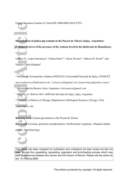 Identification of Guinea Pig Remains in the Pucará De Tilcara (Jujuy, Argentina)