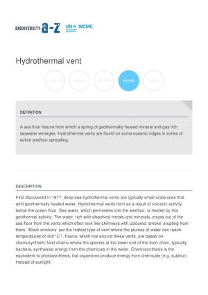 Hydrothermal Vent