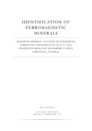 Identification of Ferromagnetic Minerals
