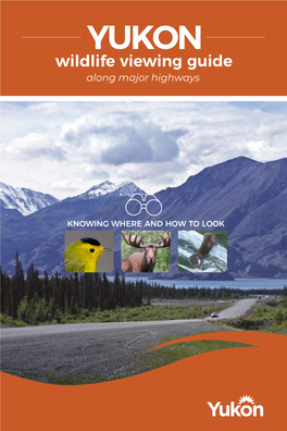 Yukon Wildlife Viewing Guide Safe Wildlife Viewing