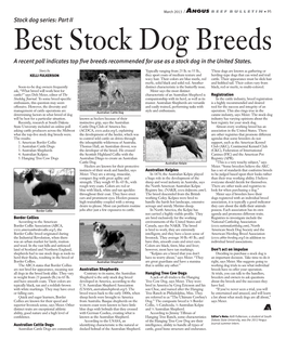 Best Stock Dog Breeds a Recent Poll Indicates Top Five Breeds Recommended for Use As a Stock Dog in the United States