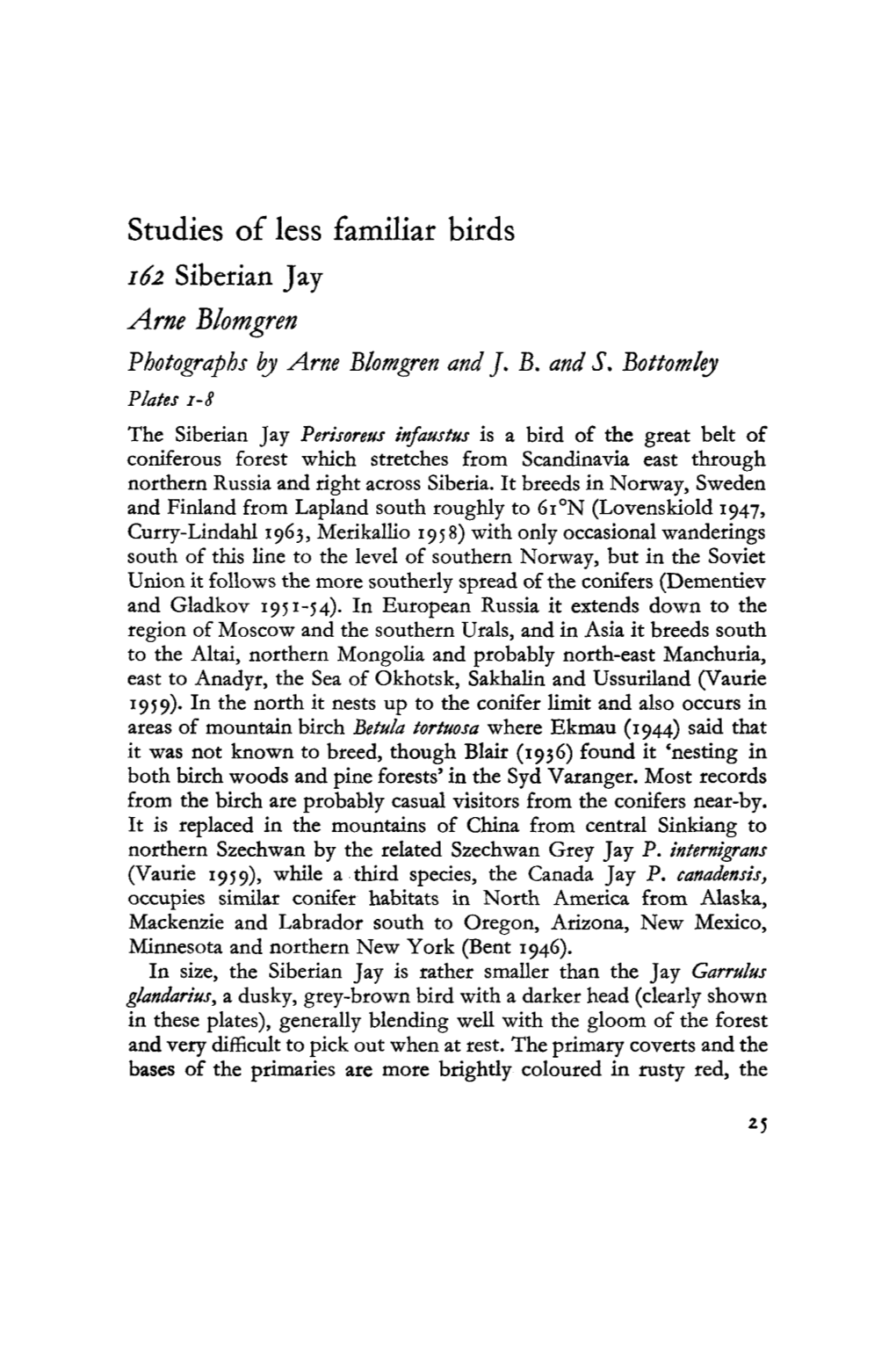 Studies of Less Familiar Birds 162 Siberian Jay Arne Blomgren Photographs by Arne Blomgren and J