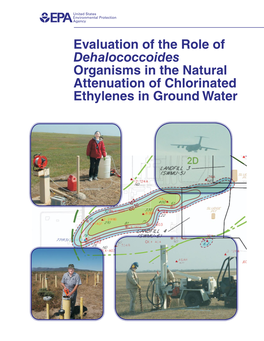 Evaluation of the Role of Dehalococcoides Organisms in the Natural Attenuation of Chlorinated Ethylenes in Ground Water