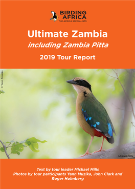 Ultimate Zambia (Including Pitta) Tour