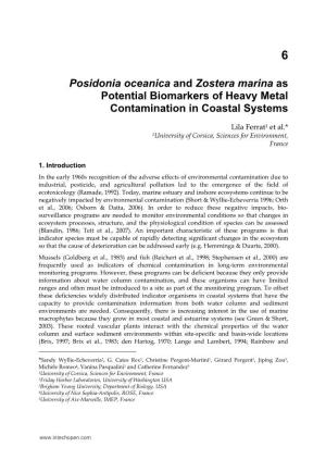 Posidonia Oceanica and Zostera Marina As Potential Biomarkers of Heavy Metal Contamination in Coastal Systems