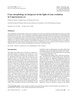 Cone Morphology in Juniperus in the Light of Cone Evolution in Cupressaceae S.L