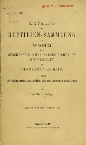 Reptilien-Sammlung Museum Der Senokenbergischen Natuefoeschenden Gesellschaft