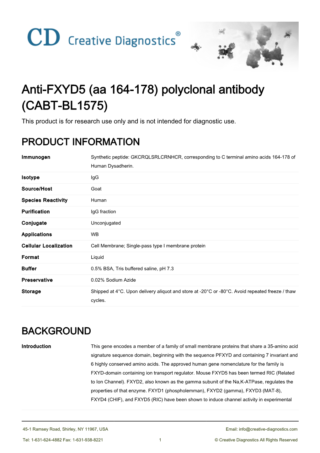 Anti-FXYD5 (Aa 164-178) Polyclonal Antibody (CABT-BL1575) This Product Is for Research Use Only and Is Not Intended for Diagnostic Use