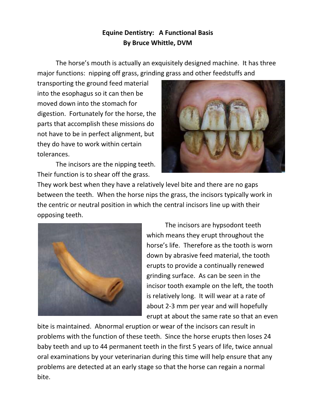 Equine Dentistry: a Functional Basis by Bruce Whittle, DVM the Horse's