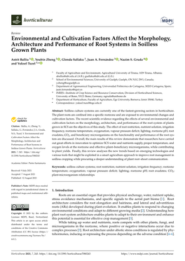 Environmental and Cultivation Factors Affect the Morphology, Architecture and Performance of Root Systems in Soilless Grown Plants