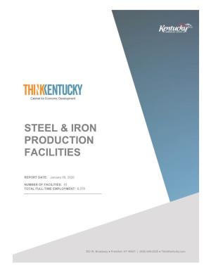 Steel & Iron Production Facilities