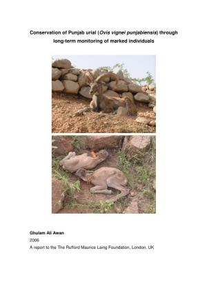 Conservation of Punjab Urial ( Ovis Vignei Punjabiensis ) Through Long-Term Monitoring of Marked Individuals