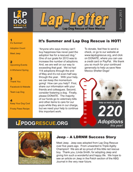 It's Summer and Lap Dog Rescue Is HOT!