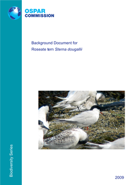 Background Document for Roseate Tern (Sterna Dougallii)