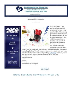 Norwegian Forest Cat Health