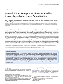 Neuronal BC RNA Transport Impairments Caused by Systemic Lupus Erythematosus Autoantibodies