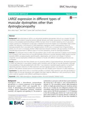LARGE Expression in Different Types of Muscular Dystrophies Other Than Dystroglycanopathy Burcu Balci-Hayta1*, Beril Talim2, Gulsev Kale2 and Pervin Dincer1