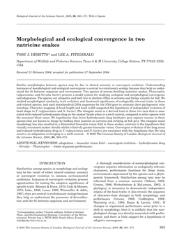 Morphological and Ecological Convergence in Two Natricine Snakes