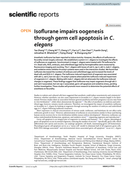 Isoflurane Impairs Oogenesis Through Germ Cell Apoptosis in C. Elegans