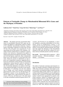 Patterns of Nucleotide Change in Mitochondrial Ribosomal RNA Genes and the Phylogeny of Piranhas