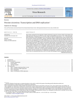 Porcine Circovirus: Transcription and DNA Replication