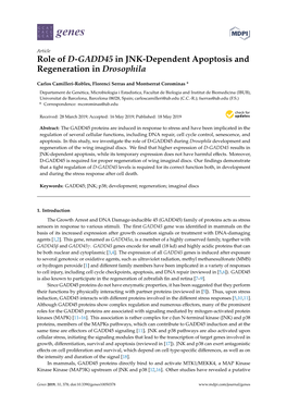 Role of D-GADD45 in JNK-Dependent Apoptosis and Regeneration in Drosophila