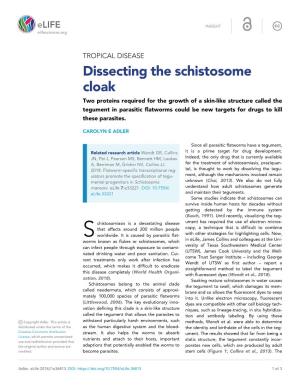 Dissecting the Schistosome Cloak
