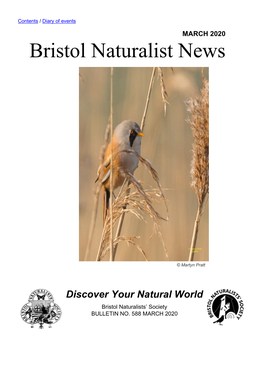 Bristol Naturalist News