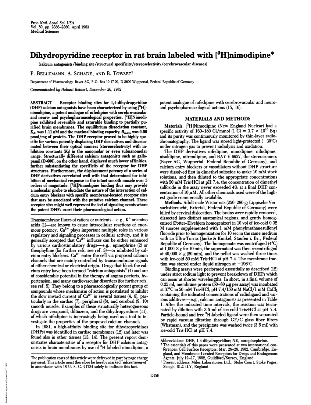 Dihydropyridine Receptor in Rat Brain Labeled With