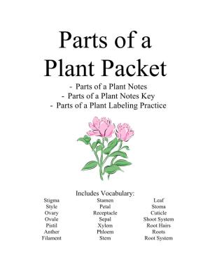 Parts of a Plant Packet - Parts of a Plant Notes - Parts of a Plant Notes Key - Parts of a Plant Labeling Practice