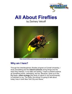 All About Fireflies by Zachary Velcoff