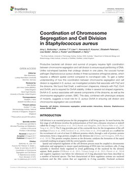 Coordination of Chromosome Segregation and Cell Division in Staphylococcus Aureus