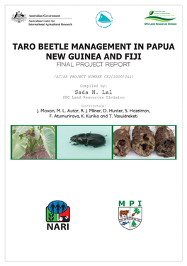 Taro Beetle Report
