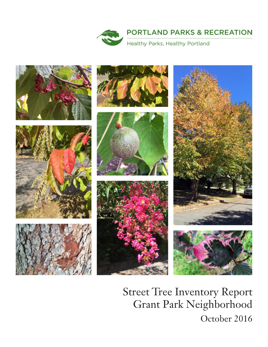 Street Tree Inventory Report Grant Park Neighborhood October 2016 Street Tree Inventory Report: Grant Park Neighborhood October 2016