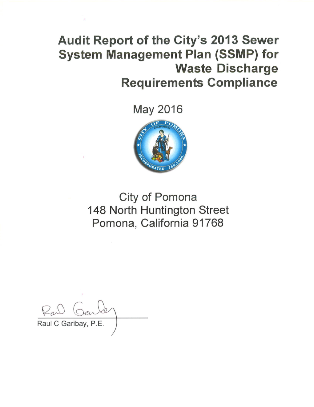 2015 SSMP Final Audit