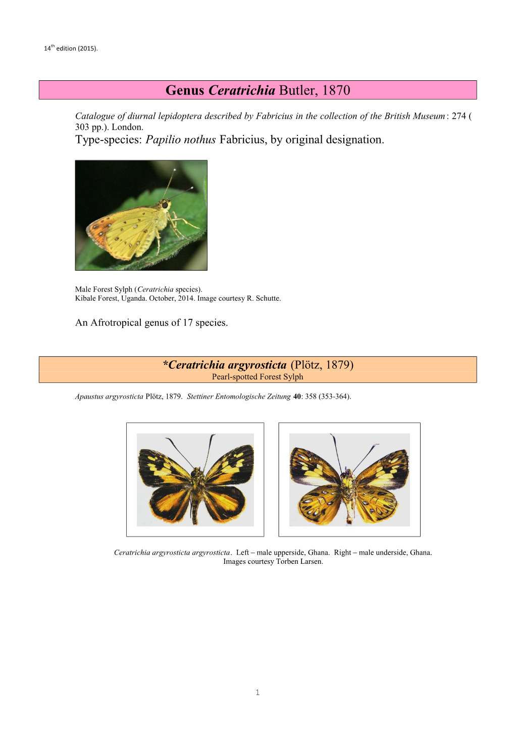 391 Genus Ceratrichia Butler