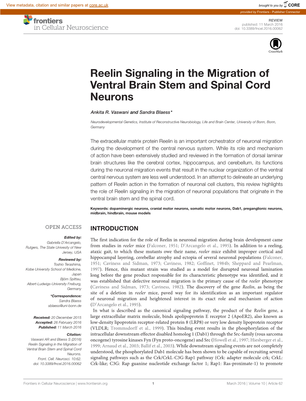 Reelin Signaling in the Migration of Ventral Brain Stem and Spinal Cord Neurons