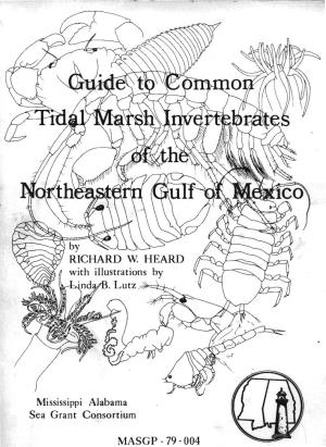 Guide to Common Tidal Marsh Invertebrates of the Northeastern