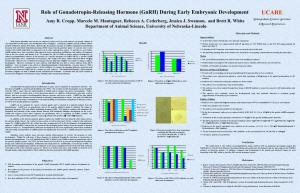 Role of Gonadotropin-Releasing Hormone (Gnrh) During Early Embryonic Development UCARE Amy R