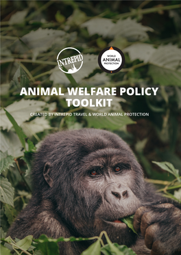 ANIMAL WELFARE POLICY TOOLKIT CREATED by INTREPID TRAVEL & WORLD ANIMAL PROTECTION Tourism Will Return
