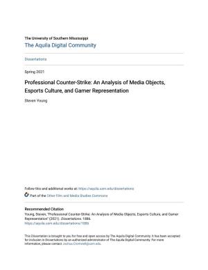 Professional Counter-Strike: an Analysis of Media Objects, Esports Culture, and Gamer Representation