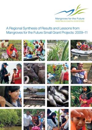 A Regional Synthesis of Results and Lessons From