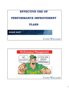 Effective Use of Performance Improvement Plans
