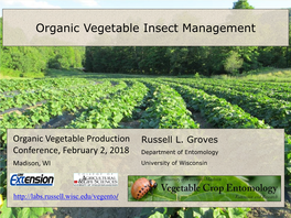 Organic Vegetable Insect Management