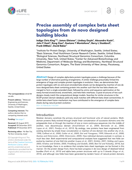 Precise Assembly of Complex Beta Sheet Topologies from De Novo Designed Building Blocks