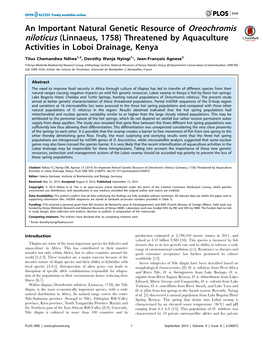 An Important Natural Genetic Resource of Oreochromis Niloticus (Linnaeus, 1758) Threatened by Aquaculture Activities in Loboi Drainage, Kenya