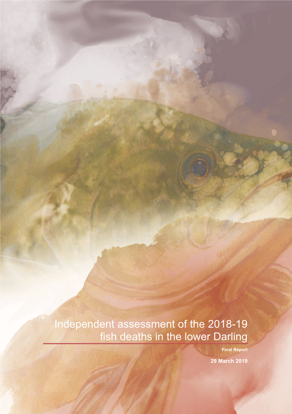 Independent Assessment of the 2018-19 Fish Deaths in the Lower Darling