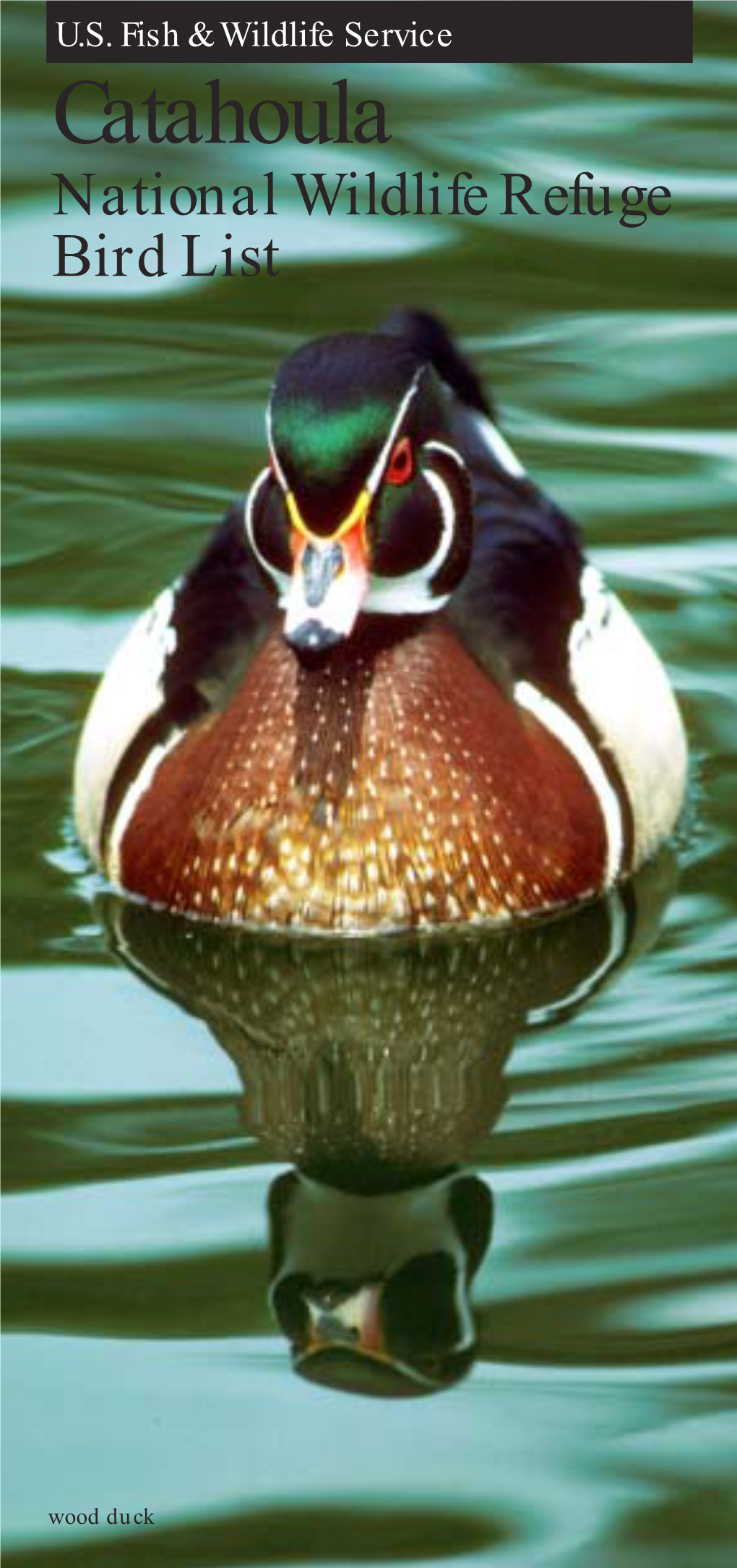 Catahoula National Wildlife Refuge Bird List